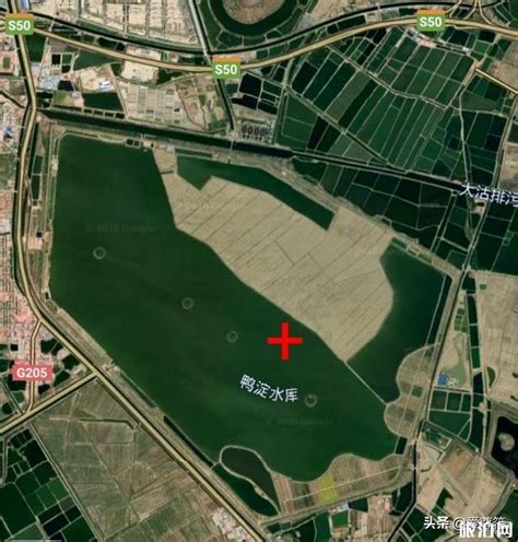 【高清图】202111天津北大港水库湿地自然保护区-中关村在线摄影论坛