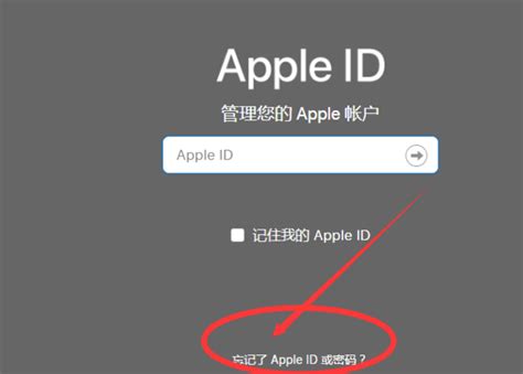 苹果id和密码 Apple ID 密码