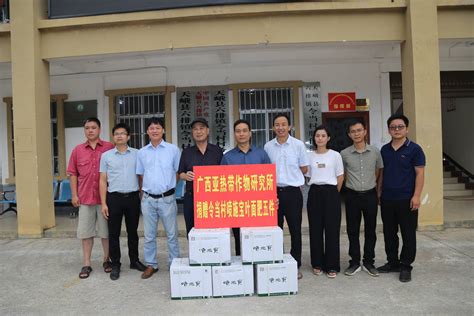 广西天峨县举办第二届龙滩珍珠李节（组图）|游客|旅游_凤凰资讯