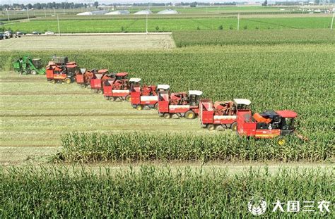 山东东营：农业机械化助力三秋生产|玉米|农机|机械化_新浪新闻