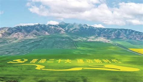 【热烈庆祝海南藏族自治州成立70周年】绿色是大湖南岸最亮的底色-首页-青海新闻网
