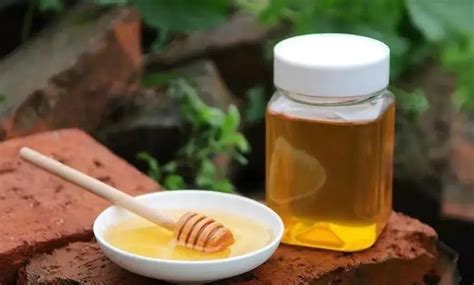 黑蜂蜂蜜的作用与功效及食用方法 - 蜂蜜种类 - 酷蜜蜂
