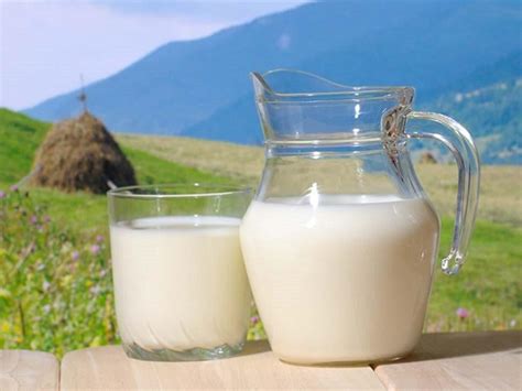 奶粉配方表中第一项是生牛乳和脱盐乳清哪个更好?_家庭医生在线