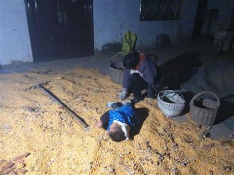 农村老人熬夜捡玉米，三岁小孩躺玉米堆睡着，让人泪目|玉米|外孙|女儿_新浪新闻