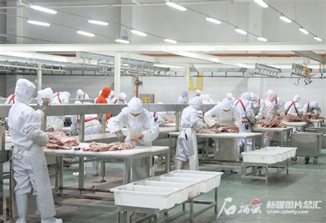 顺势而上 畜牧业生产开启“加速度”_部门动态_新疆维吾尔自治区人民政府网