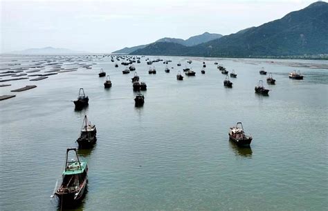 汇思想 _ 长江口一渔船搁浅 11名遇险渔民成功获救