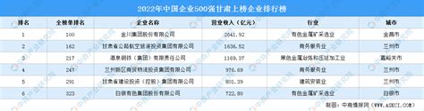 甘肃十大企业排行榜：甘肃电力公司上榜，第一是石油公司_排行榜123网