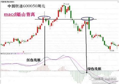 macd背离图解图片