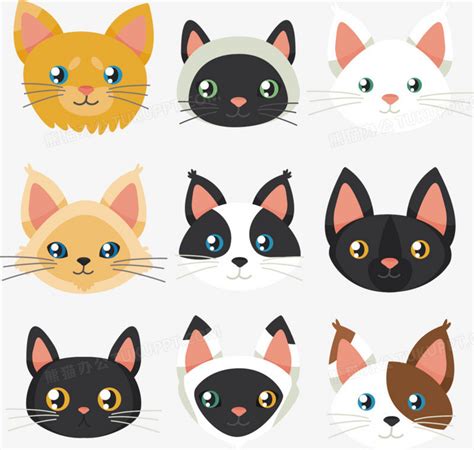 手绘猫咪头像温柔女生