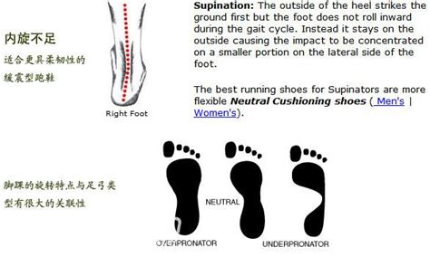 看脚型就能知道你的性格？快来看看你是哪种 你觉得说的准确吗？_新浪新闻