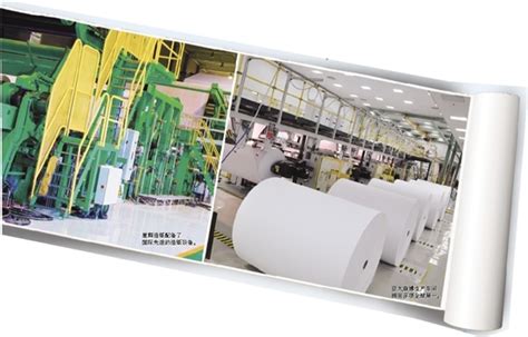 未来造纸行业面临分化你的纸厂会被淘汰吗？-广西白莹特种纸有限公司