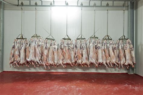猪业屠宰场的冰箱猪肉储存高清图片下载-正版图片503613059-摄图网