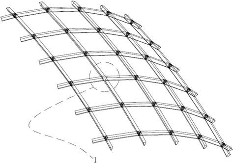 一种仿生态伞状单层网壳钢结构的安装方法与流程