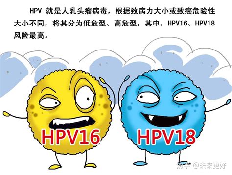 感 染HPV高危16和18哪个更严重？ - 知乎