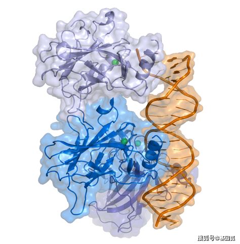 DNA基因链条元素素材下载-正版素材401805768-摄图网