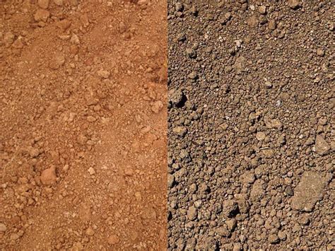 为什么土壤有不同的颜色？如何合理施用有机肥？ - 热点新闻 - 新农资360网|土壤改良|果树种植|蔬菜种植|种植示范田|品牌展播|农资微专栏