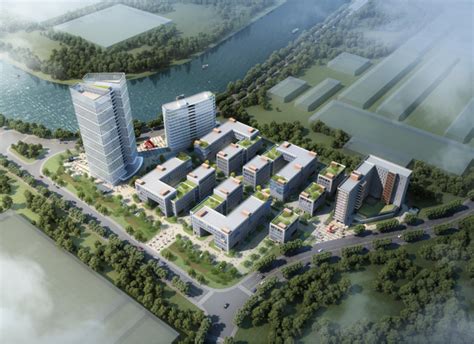 打造"临安之门" 杭州青山湖科技城四大项目开工——浙江在线
