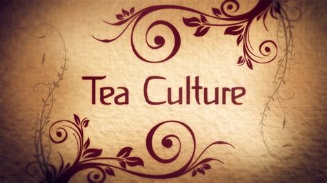 五集系列纪录片《普洱茶——时光在吟唱》登录云南卫视_云南网