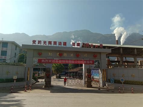 临沧市·双江林业产业园区 – 云南省工业园区协会