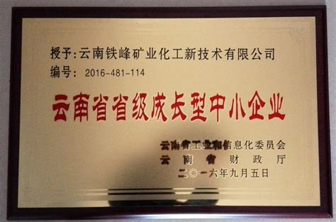 云南省省级成长型中小企业 - 资质荣誉 - 云南铁峰矿业化工新技术有限公司