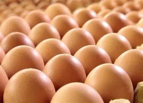 鸡蛋价格两个多月涨逾六成，超市最高卖到10元/斤 | 每经网