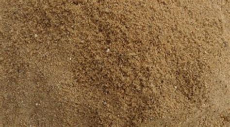 沙子是怎么形成的_酷知科普