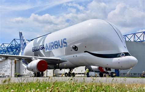首架空客新型运输机“大白鲸XL”新涂装亮相 酷似白鲸_航空工业_行业_航空圈