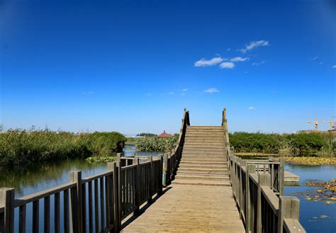 嘉定石岗门塘湿地公园-公园案例-筑龙园林景观论坛