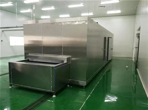 SDN-100-速冻果蔬生产线 隧道式速冻机-山东盛德诺机械科技有限公司