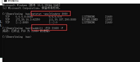 记录一次解决Ni applicationwebsever占用8080端口的问题 – VPSCHE小车博客