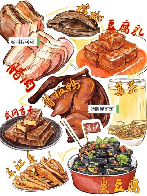 Dinga 的图像结果