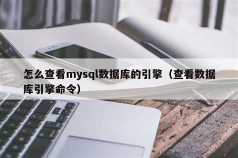 MySQL数据库 基本操作-菜鸟笔记