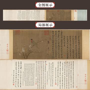 五色鹦鹉图图片
