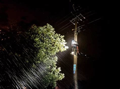 雨下了一整夜图片