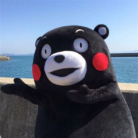 日媒：从酷MA萌到熊本熊，日熊本县吉祥物中文名正式确定