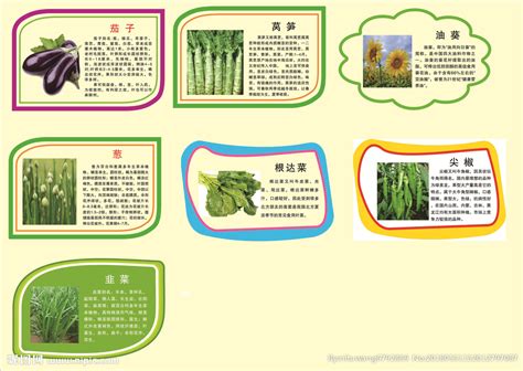 有机蔬菜logo设计图__LOGO设计_广告设计_设计图库_昵图网nipic.com