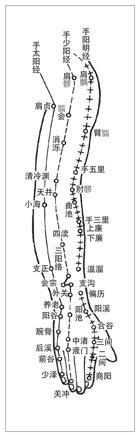 三焦经经络图图片