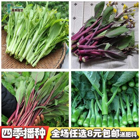 蔬菜种类品种,蔬菜种类图册,蔬菜种类名称大全_大山谷图库