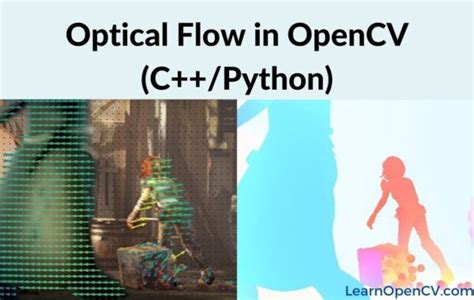 A tutorial on Motion Estimation with Optical Flow with Python ...