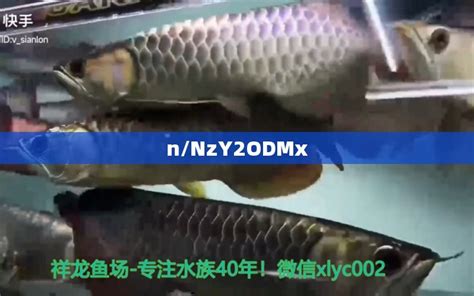 淡水鱼博物馆_中国科普博览