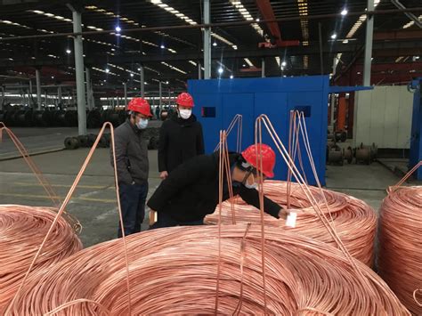 中国瑞林董事长、总经理章晓波一行访问江铜集团公司 - 中国瑞林工程技术股份有限公司