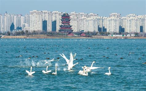 滁州长城梦世界影视城-一码游滁州