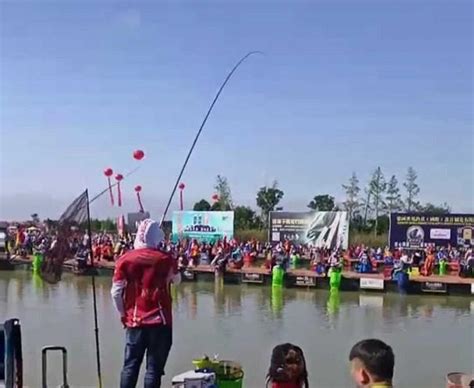 中国最大规模钓鱼比赛 1900个选手 120万奖金|钓鱼|奖金|选手_新浪新闻