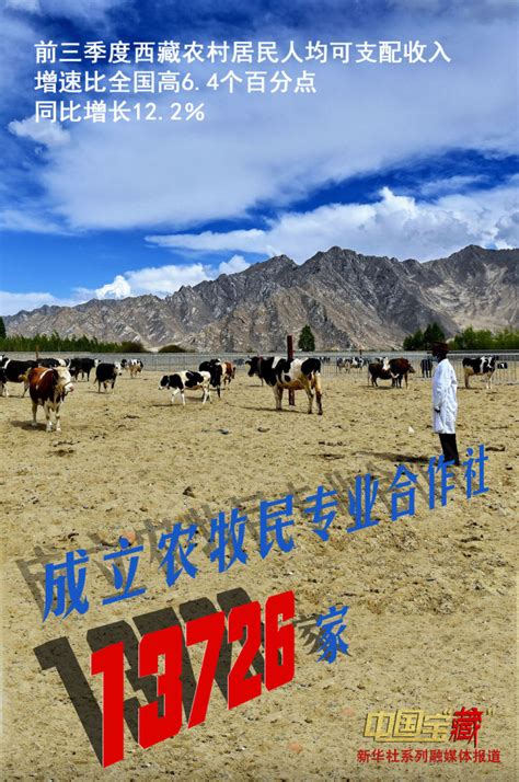 创新中国 - 西藏自治区农科院全力开展科技创新工作：给农牧业插上科技的翅膀