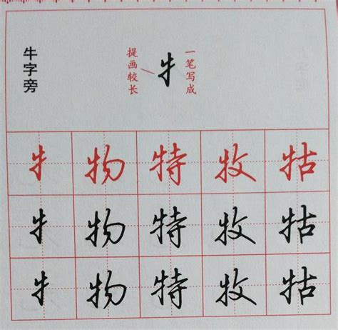 硬笔行楷书法绝技！10类难写汉字偏旁，10分钟全搞定，举一反三！|行楷|偏旁|书法_新浪新闻