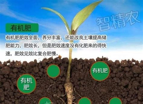 教你怎么判断土壤的酸碱性 - 土壤改良 - 新农资360网|土壤改良|果树种植|蔬菜种植|种植示范田|品牌展播|农资微专栏