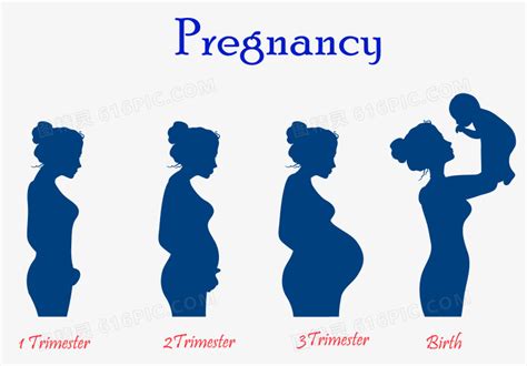 孕妇。矢量五颜六色的插图与怀孕的概念。健康食品背景图片免费下载-千库网