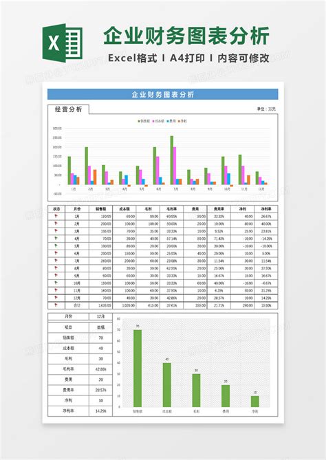 企业财务图表分析Excel模板下载_熊猫办公