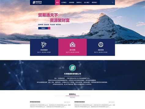 企业的外贸网站|网页|电商|Zxinrui - 原创作品 - 站酷 (ZCOOL)