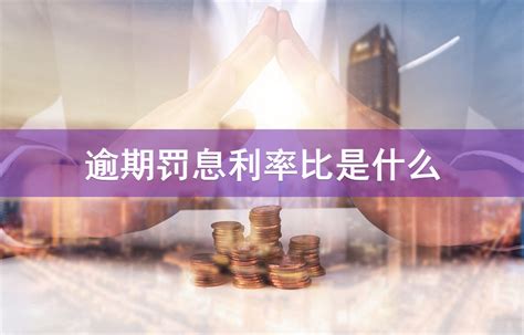 2018-2024年中国保险理财产业市场发展需求调研及未来发展趋势预测报告 - 观研报告网
